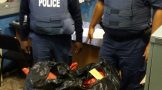 High speed chase leads to dagga arrest