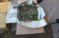 Drug trafficking arrest in Western Cape
