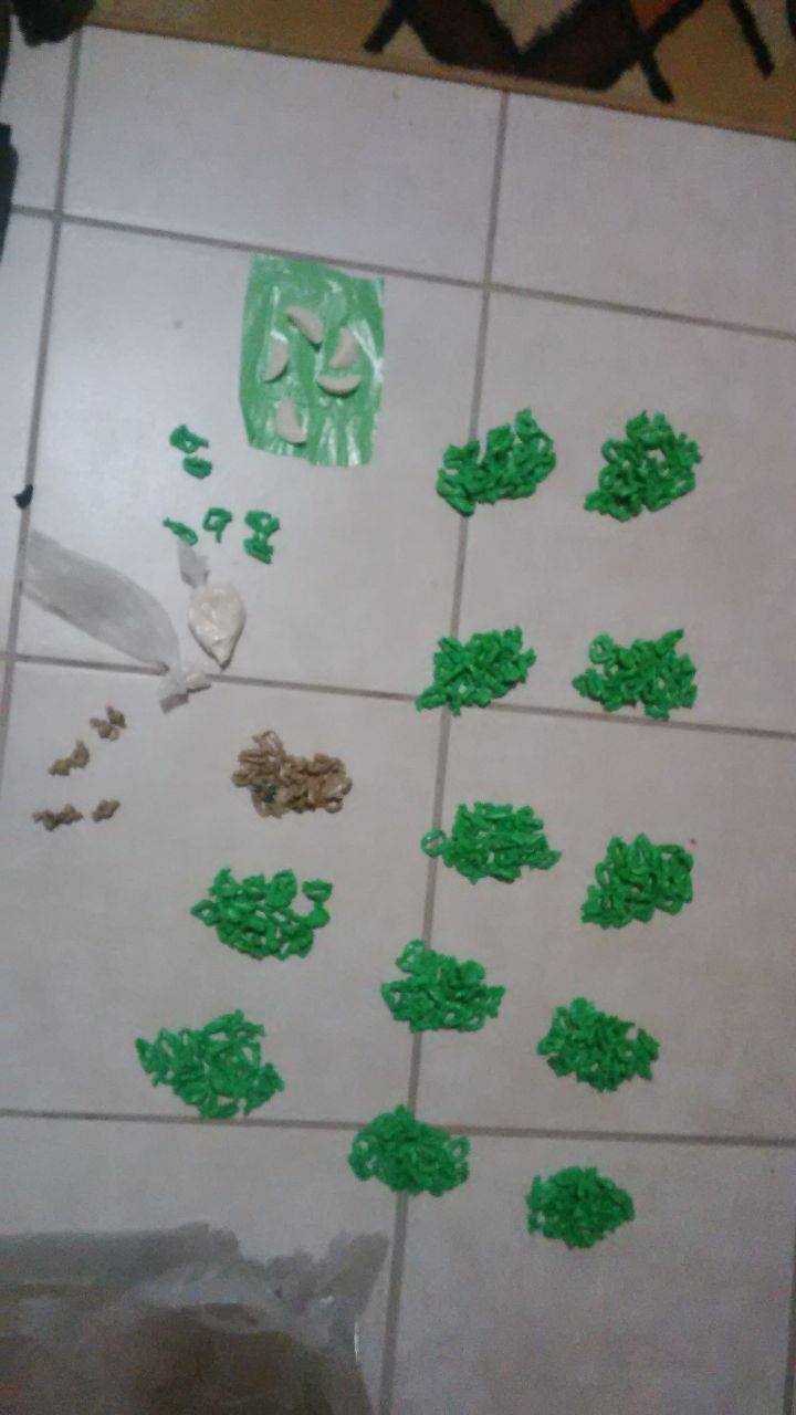 Suspected drug dealers arrested in Ivy Park, Limpopo