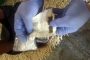 Drugs worth R2 million confiscated in Kimberley