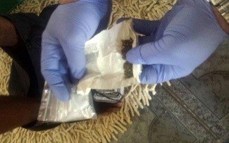 Arrest made and drugs confiscated in Wellington