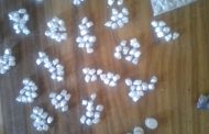 Community tip-off leads to arrest of suspect for possession of drugs in Paarl East