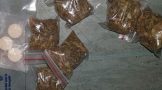 Alleged drug dealer nabbed, dagga and mandrax seized