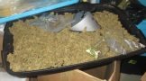 Western Cape: Two suspects arrested with a large quantity of dried hydroponic dagga in Table View