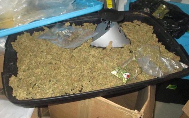 Western Cape: Two suspects arrested with a large quantity of dried hydroponic dagga in Table View